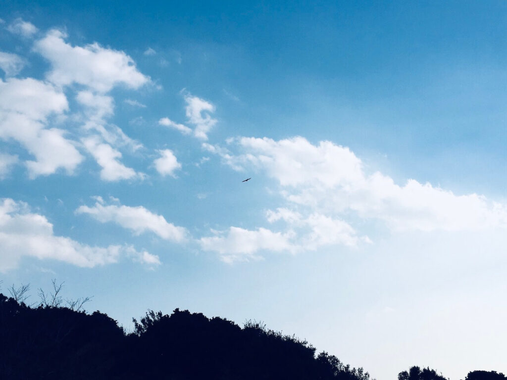 岬の展望台近くで撮った空