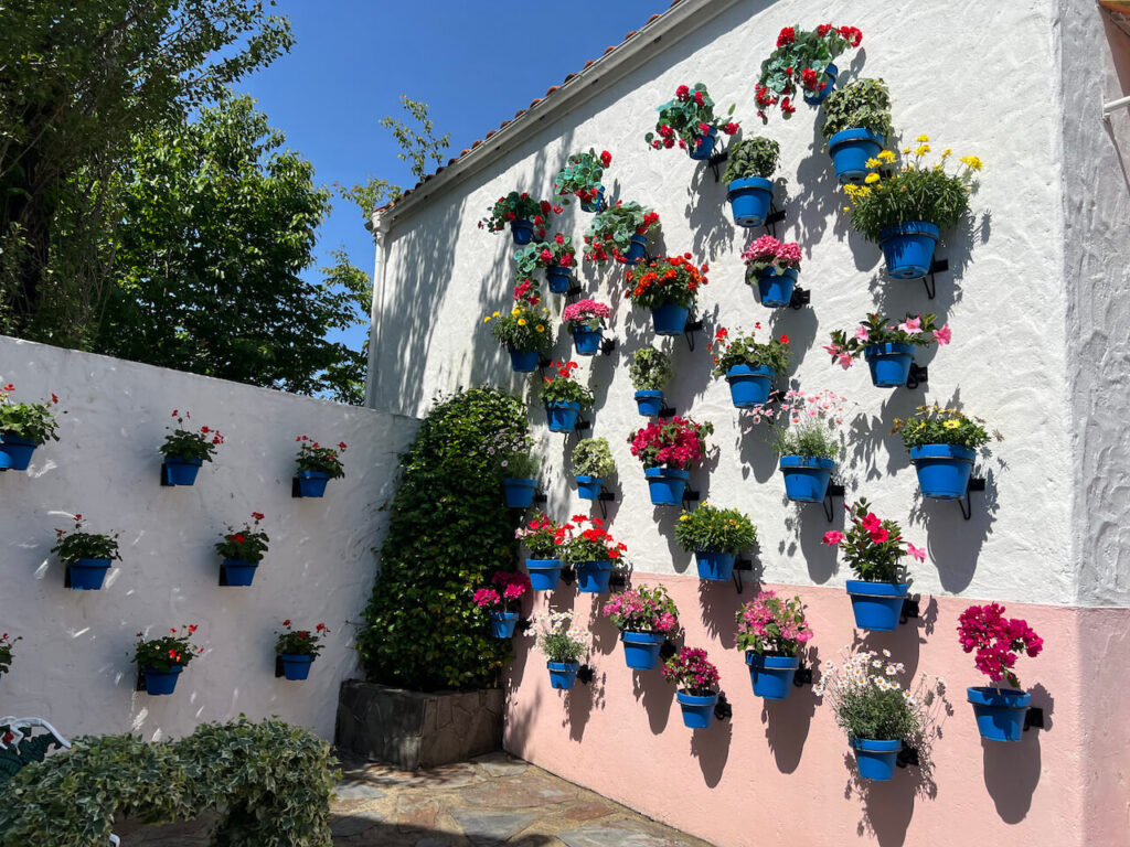 スペイン村にあるサンタクルス通り。壁一面にお花が飾られている