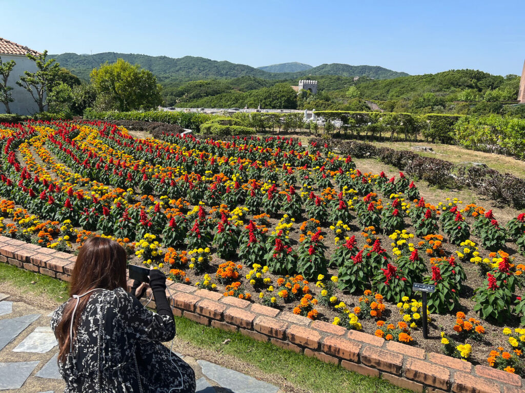 サンタクルス通りにあるお花がずらっと植えられた花壇