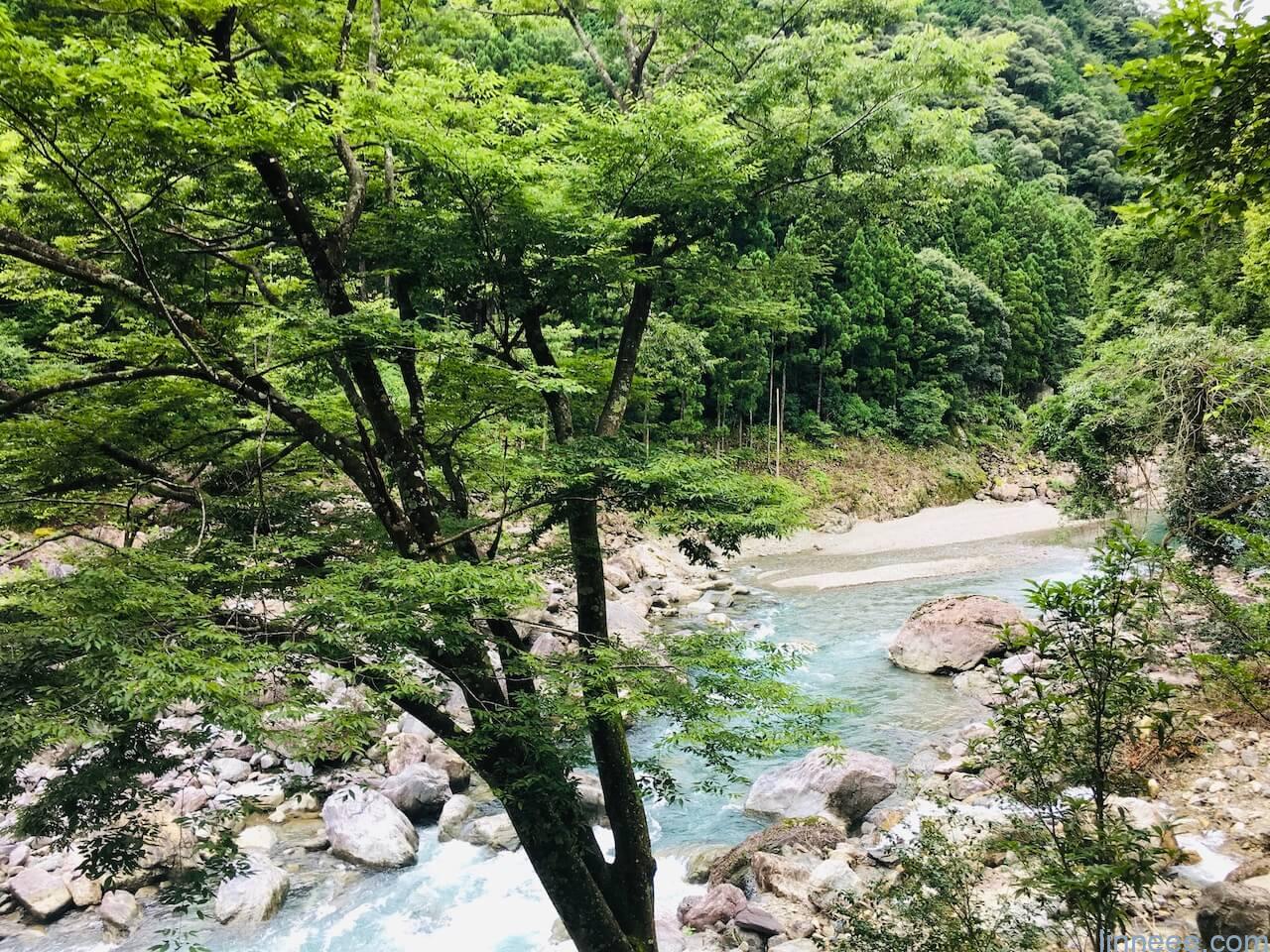 三重県大台町にある宮川上流の景色(清流茶屋より)